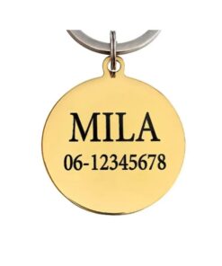 Hundemarke mit Name und Adresse für Hunde und Katzen Niedliche gravierte Katzen- oder Hundemarke Gold
