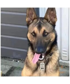 Hundemarke ID-Marke online bestellen Gravur mit Namen Gravur mit Name und Adresse
