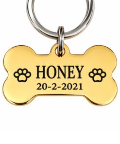 Hondenpenning graveren Stoere grote hondenpenning gratis graveren met naam en adres penning voor grote hond Kleur goud