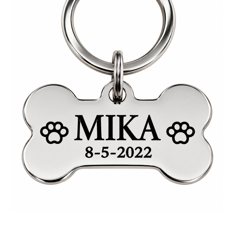 Hondenpenning graveren Stoere grote hondenpenning gratis graveren met naam en adres penning voor grote hond Kleur zilver