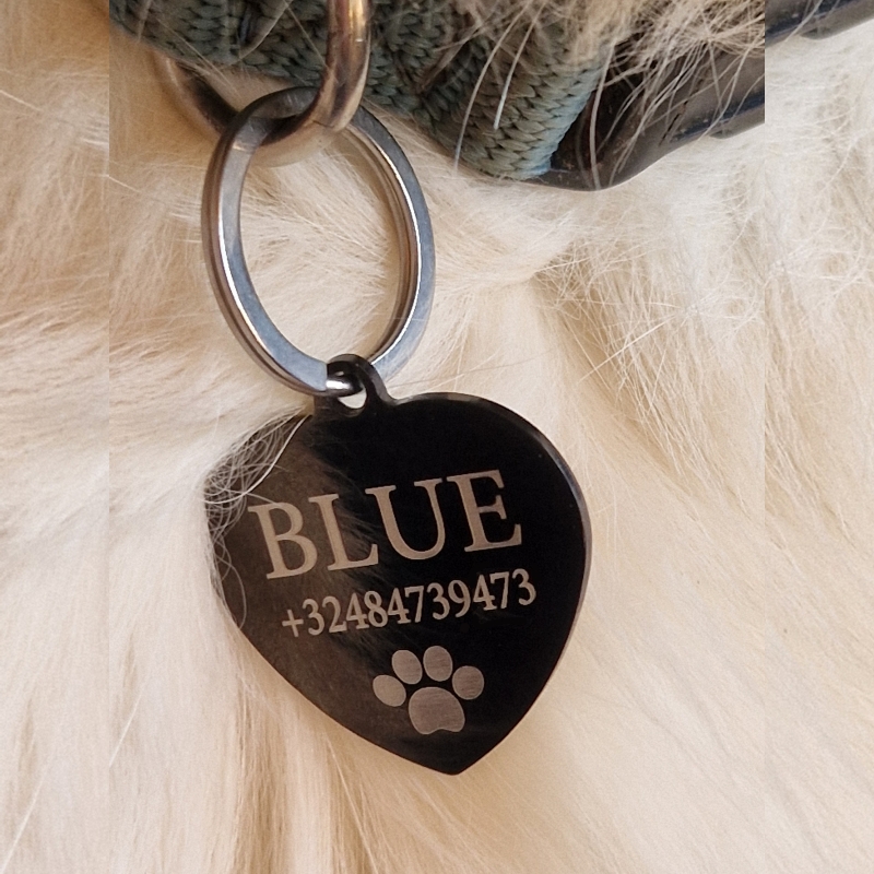 Médaille du cœur pour chien