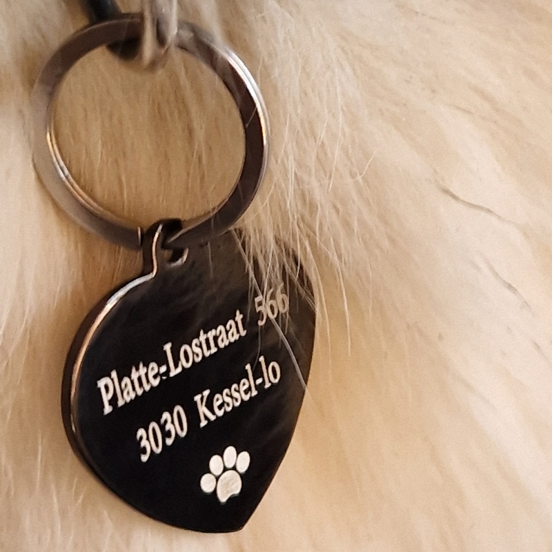 Étiquette pour Cœur de Chien