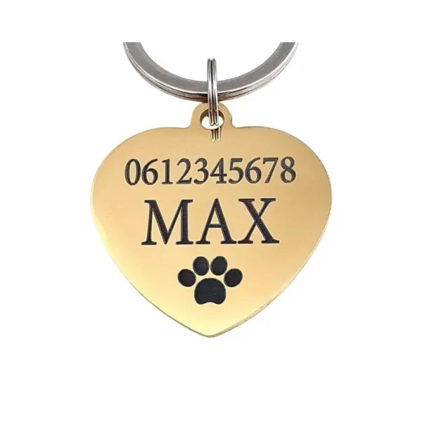 Katzenmarke mit Namen Herz für Ihre Katze oder Ihren Hund Marke für Hund und Katze gravieren mit Namen, Adresse und Telefonnummer Marke Herz kostenlos versenden Gold