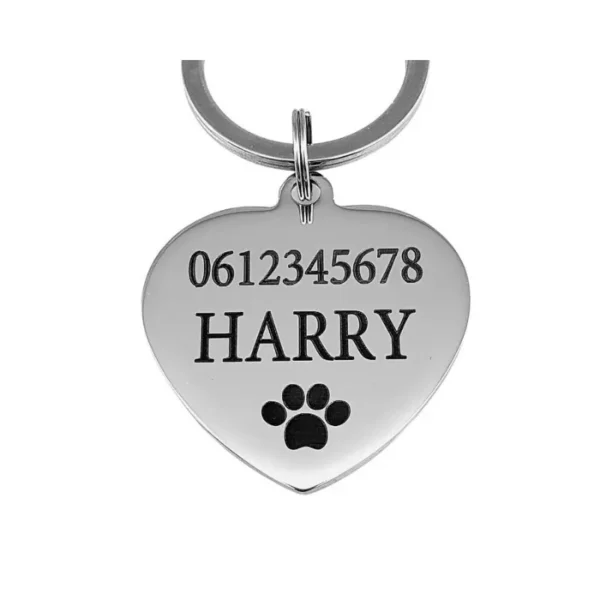 Kattenpenning met naam hartje voor je kat of hond penning voor hond en kat graveren met naam, adres en telefoonnummer Penning Hartje gratis verzenden zilver