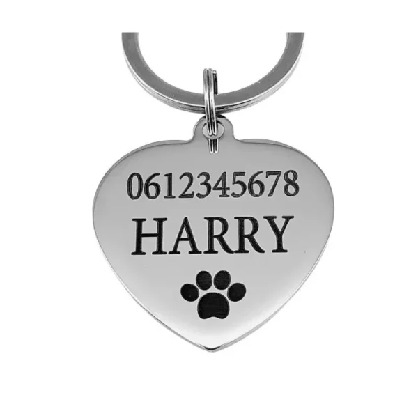Hundemarke mit Namen und Adresse Gravieren Marke für Hund mit Telefonnummer für Hund oder Katze online entwerfen und kaufen silber