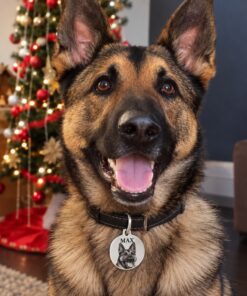 Honden penning met foto voor grote honden