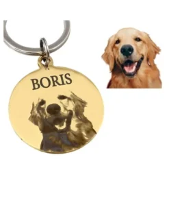 Dog Tag with Photo and Pet Name Engraving Beautiful Dog Tag with Photo Address and Pet Name Silver