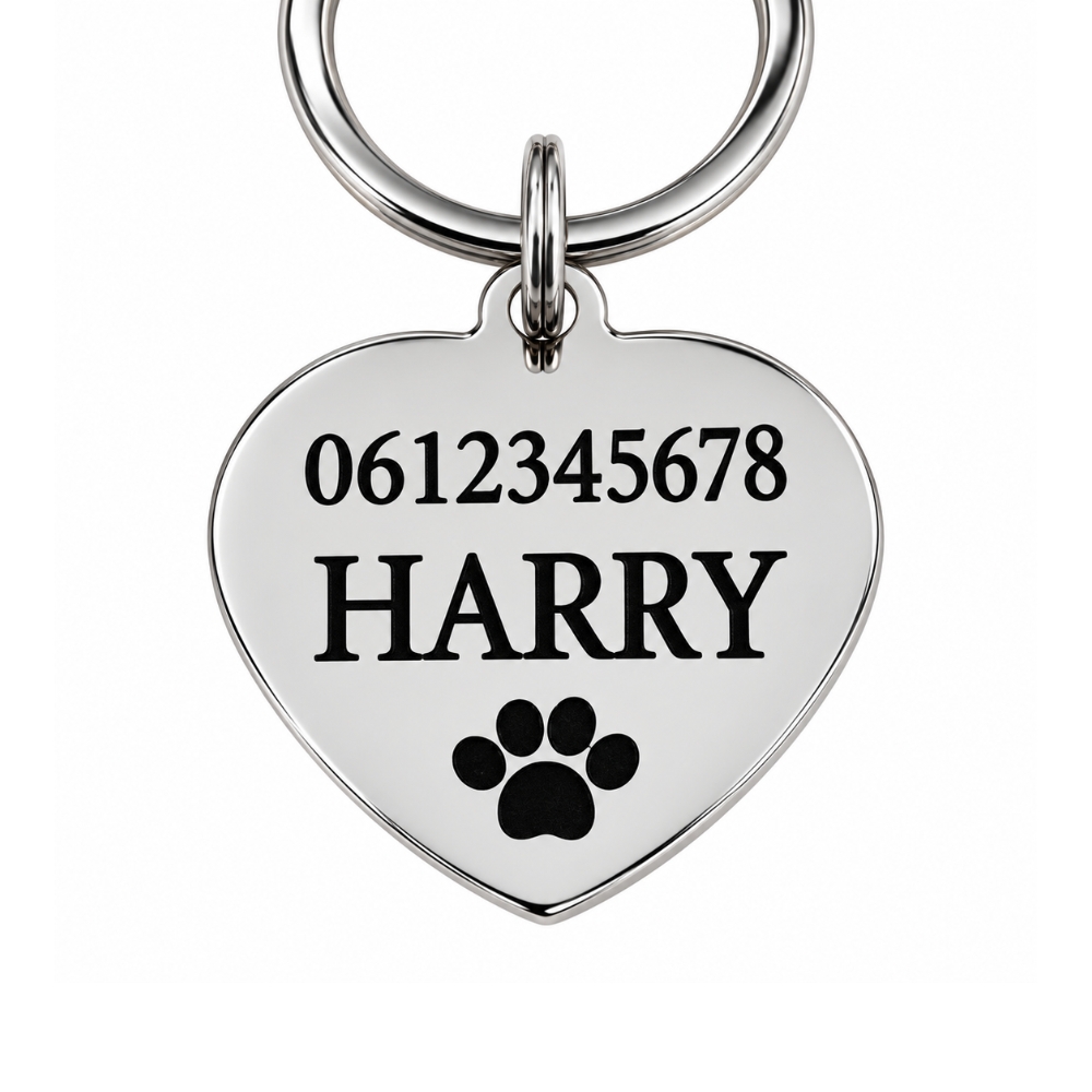 Kattenpenning met naam hartje penning voor hond en kat graveren met naam, adres en telefoonnummer zilver