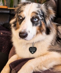 Penning hond met naam en adres, telefoonnummer hart groot
