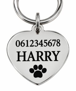 Penning hond met naam en adres, telefoonnummer zilver