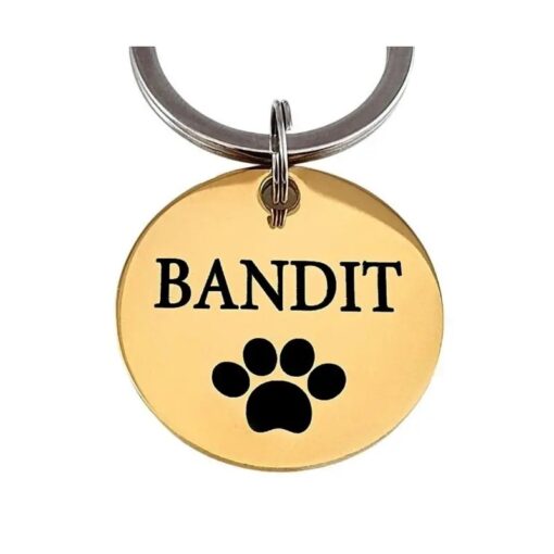 Gute Hundemarke online bestellen mit Namen und Pfote gravieren Titanium 25 mm - Beste Hundemarke mit Pfote und Adresse - kostenlose Gravur Gold