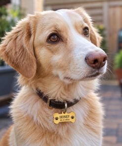 Honden penning botje