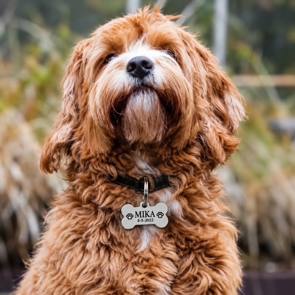 Hondenpenning bot gegraveerd voor hond met naam adres en telefoonnummer