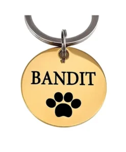 Order good dog tag online with name and paw engraving Titanium 25 mm - Best Dog Tag with Paw and address - free gold engraving