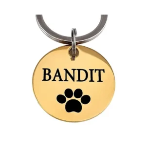Goede hondenpenning bestellen online met naam en pootje graveren Titanium 25 mm - Beste Hondenpenning met Pootje en adres - gratis gravering goud