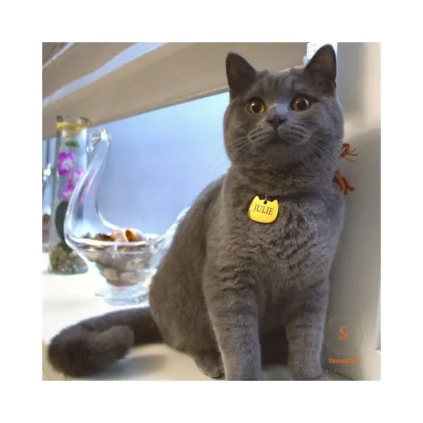 Médaille en acier titane pour chat