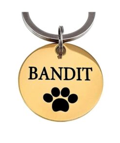 Naampenning hond graveren Naam penning goudkleurig naamplaatjes voor honden goud