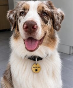 Engraved dog tag Name tag dog ID tags