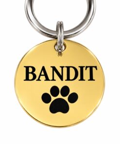 Engraved dog tag Name tag dog ID tags gold