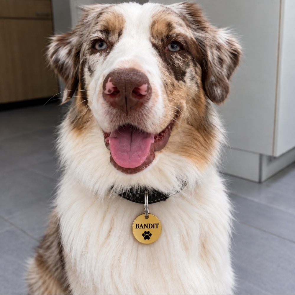 Engraved dog tag Name tag dog ID tags