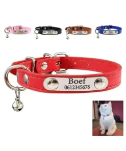 Kattenhalsband met naam, gepersonaliseerde halsbandjes voor katten of kitten telefoonnummer en belletje graveren rood