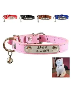 Cat Collar with Name, Phone Number, and Bell Engraving Cat Collar with Name, Personalized Collars for Cats or Kittens, Phone Number and Bell Engraving Pink