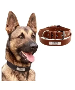 Leather Dog Collar with Engraved Name Brown