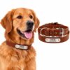 Collar de perro con grabado en el nombre Marrón cuero