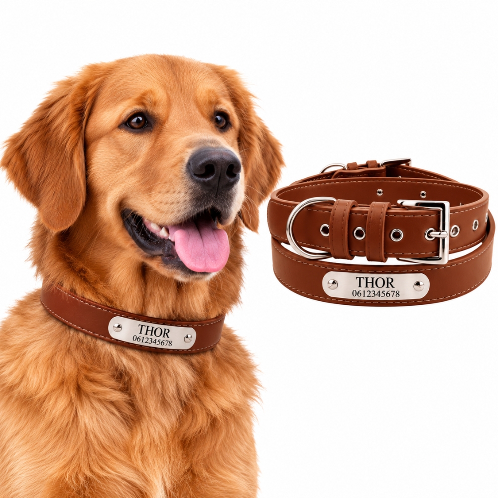 Hondenhalsband met naam graveren Leer bruin