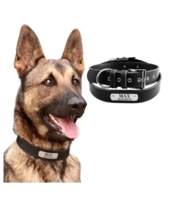 Personalized leather dog collar with engraved name Black