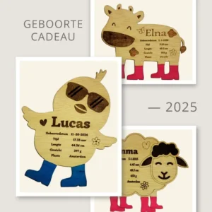 Gepersonaliseerd kraamcadeau