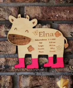 Geboortecadeau met naam
