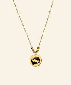 Ketting met Titanium hanger sterrenbeeld