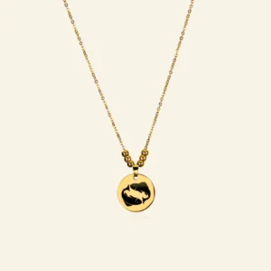 Ketting met Titanium hanger sterrenbeeld