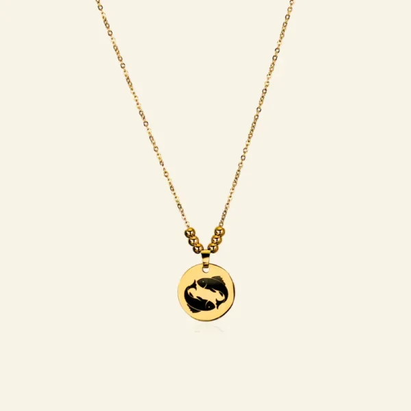 Ketting met Titanium hanger sterrenbeeld