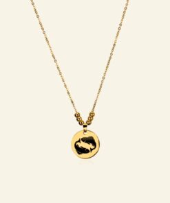 Ketting met Titanium hanger sterrenbeeld