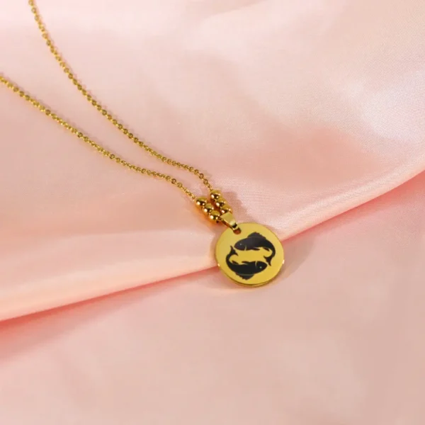 Kette mit Titananhänger Sternbild