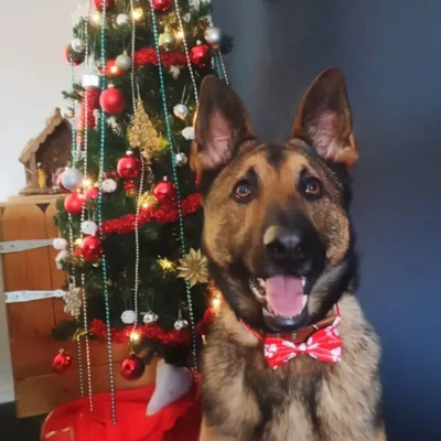 https://www.sama24.nl/wp-content/uploads/2024/11/gepersonaliseerd-kerstcadeau-man-vrouw-voor-hem-haar-vriendin-moeder-vader.webp